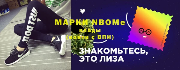 прущий лед Богданович
