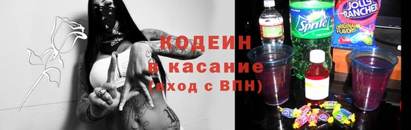 прущий лед Богданович