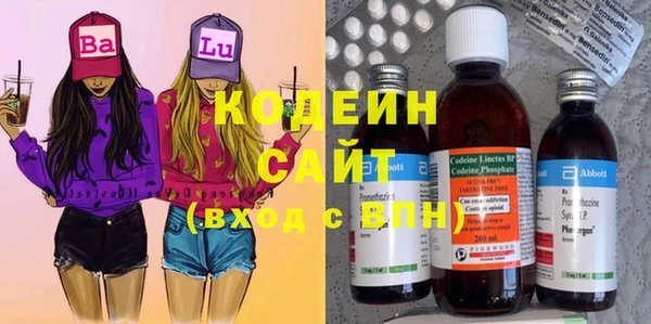 прущий лед Богданович
