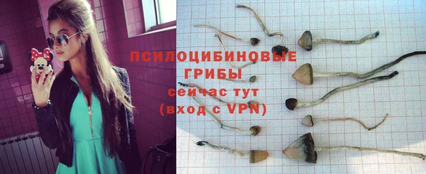 хмурый Богородск