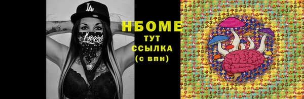 прущий лед Богданович