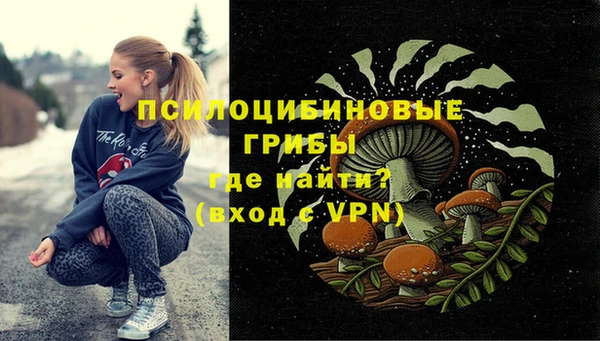 прущий лед Богданович