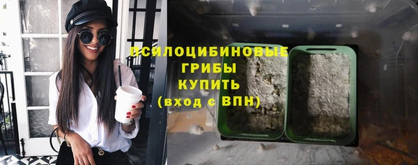 прущий лед Богданович
