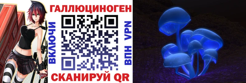 Галлюциногенные грибы Psilocybe  Реж 